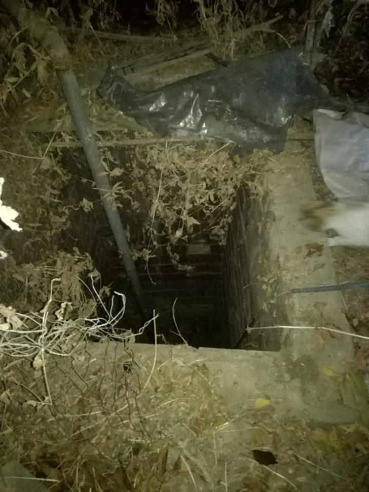 Su kuyusuna düşen yavru köpekler kurtarıldı G2