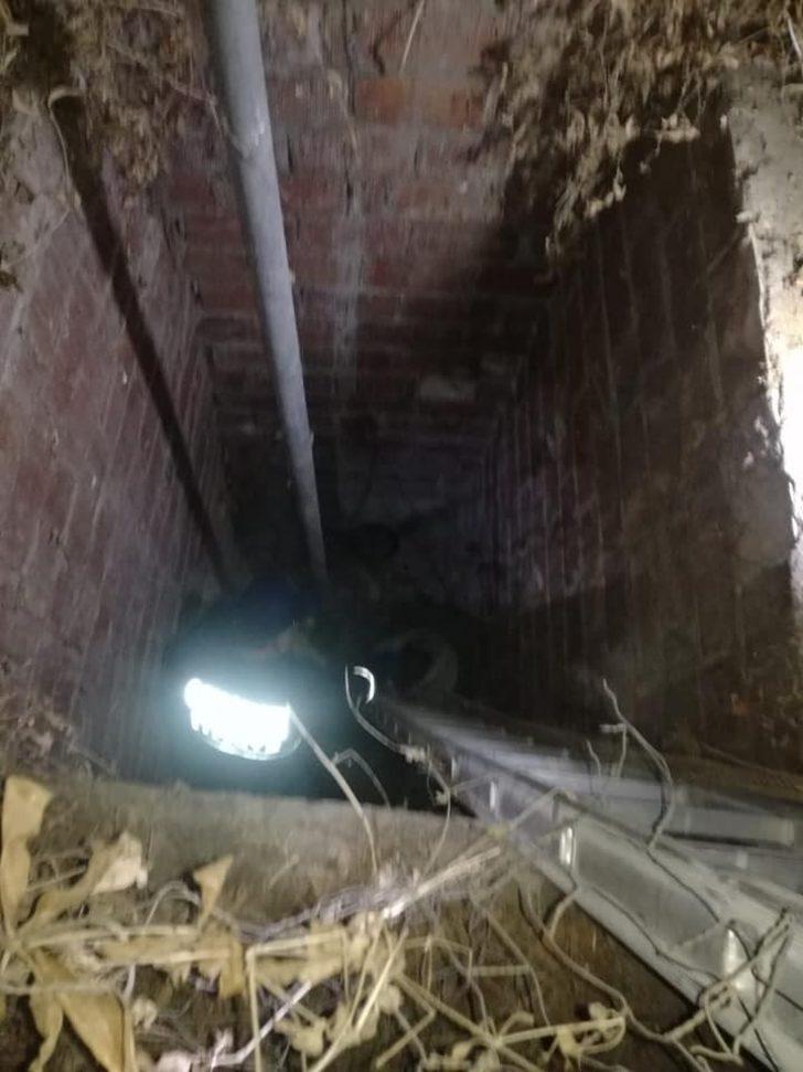 Su kuyusuna düşen yavru köpekler kurtarıldı G3