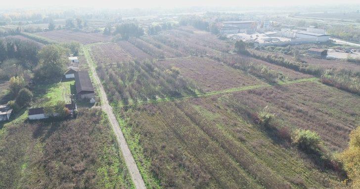 Düzce’de aromatik bitki projesi start aldı G2