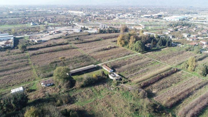 Düzce’de aromatik bitki projesi start aldı G3