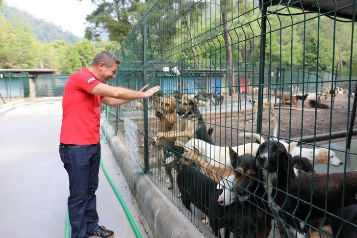 Marmaris’te can dostlar unutulmuyor G1