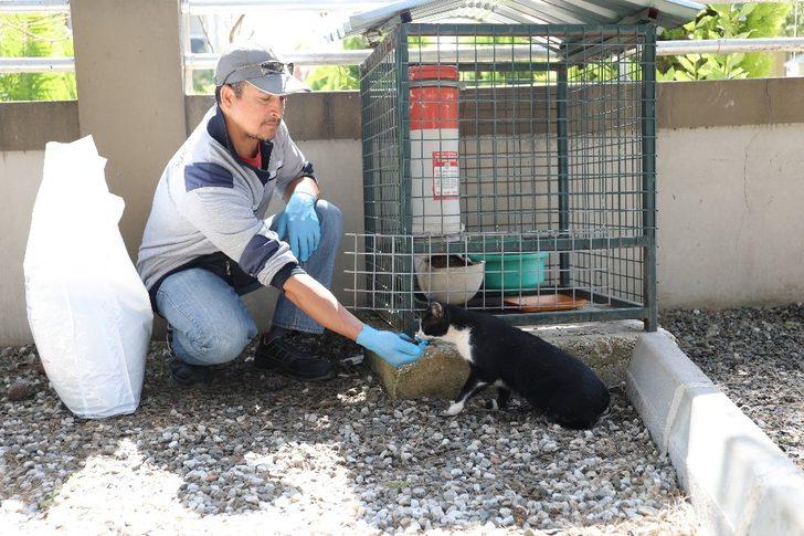 Marmaris’te can dostlar unutulmuyor G3