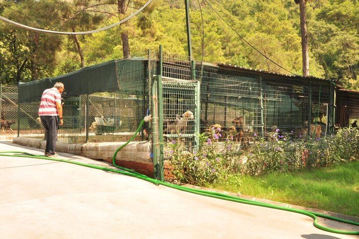 Marmaris’te can dostlar unutulmuyor G4