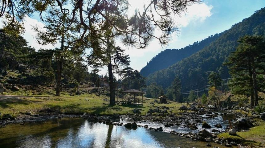 Başpınar Tabiat Parkı tam bir oksijen deposu! Başpınar Tabiat Parkı nerede? Sorgun Göleti'ne nasıl gidilir?