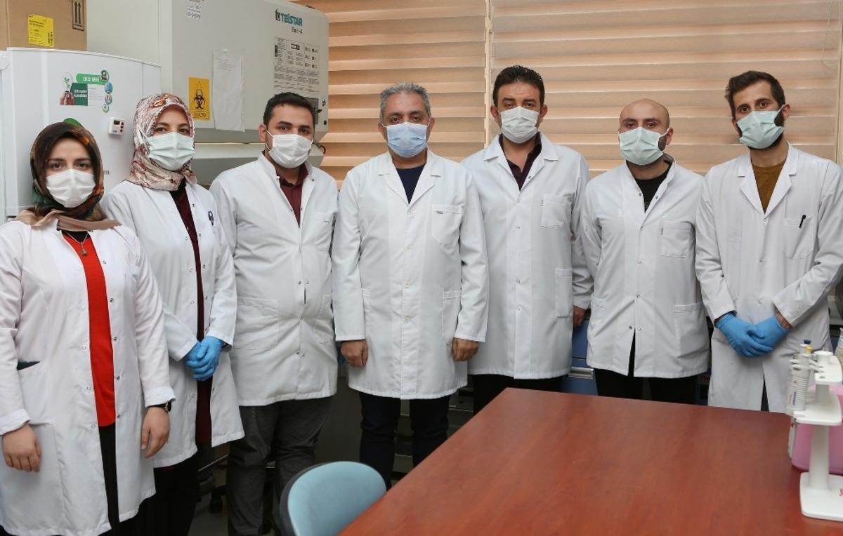 İnsan sağlığı i&ccedil;in zararlı olmayan yeni bakteri cinsi ve t&uuml;r&uuml; keşfedildi