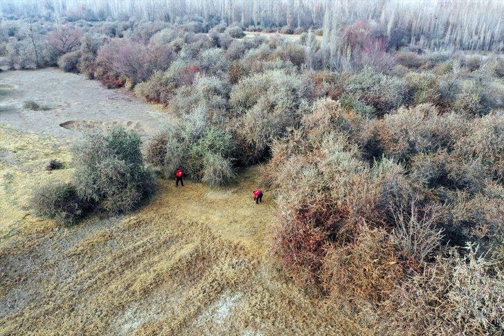 Çankırı'da kayıp kadını arama çalışmaları devam ediyor G1