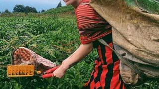 Danla Bilic'in lüks çantası! Fiyatı dudak uçuklattı 