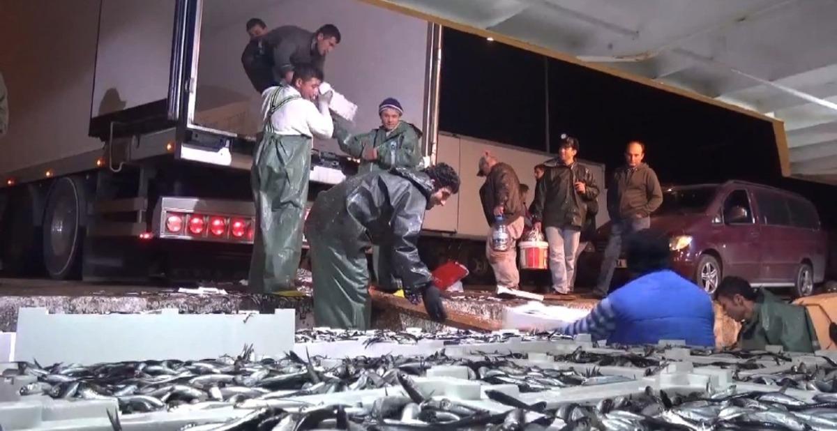 Ekosistemdeki değişiklikler balık t&uuml;rlerini de etkiledi