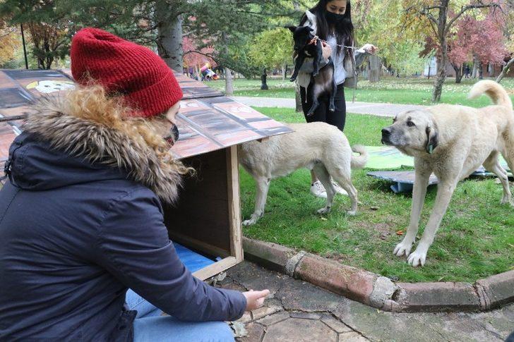 (Özel) Kullanamadıkları dekorları sokak hayvanları için kulübeye dönüştürdüler G4