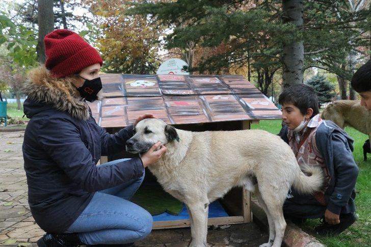 (Özel) Kullanamadıkları dekorları sokak hayvanları için kulübeye dönüştürdüler G5