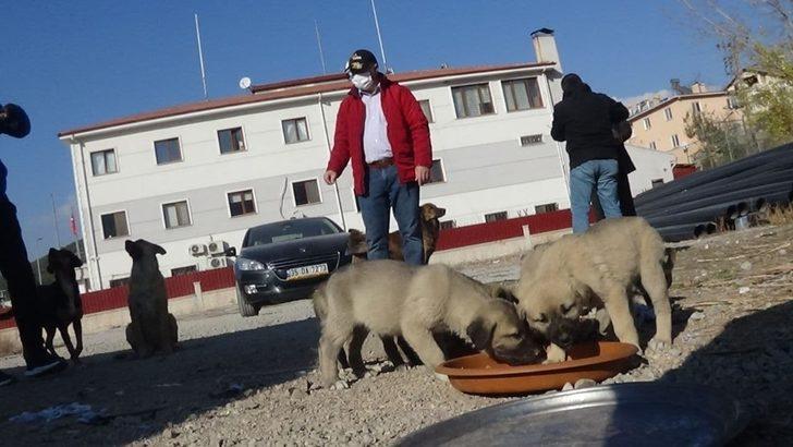 Kısıtlama hayvan sevgisine engel olmadı G3