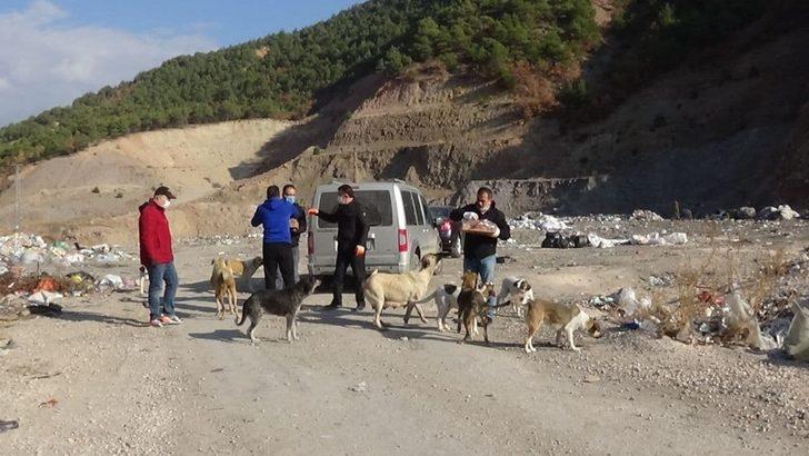 Kısıtlama hayvan sevgisine engel olmadı G5