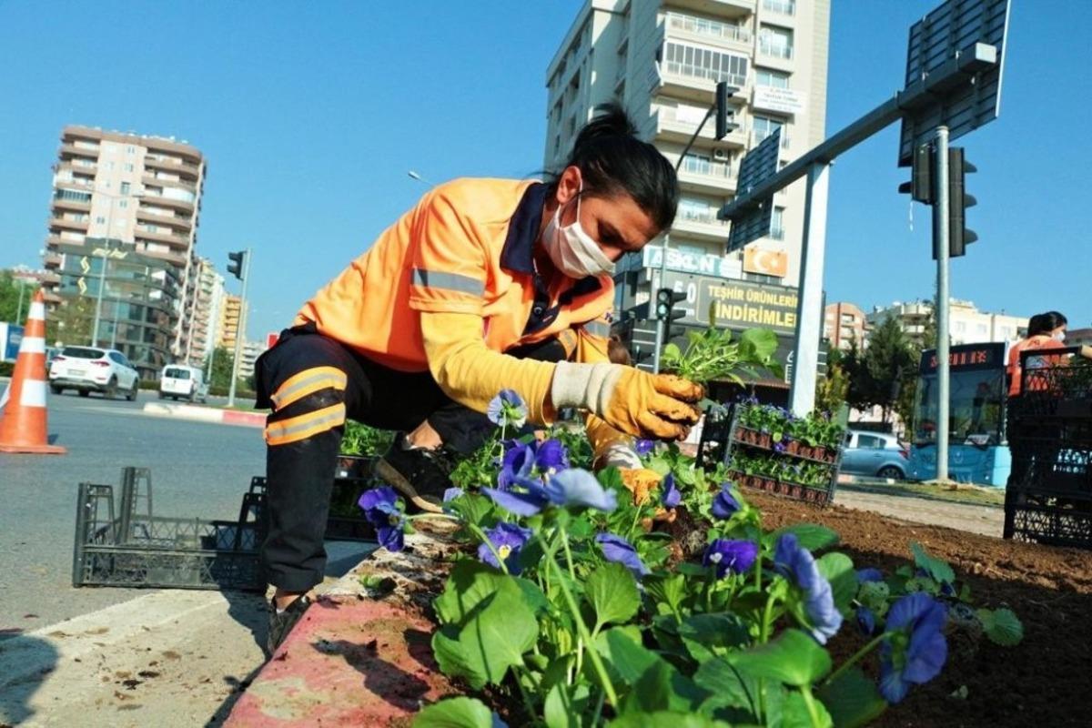 Mersin&rsquo;de 430 bin &ccedil;i&ccedil;ek toprakla buluştu