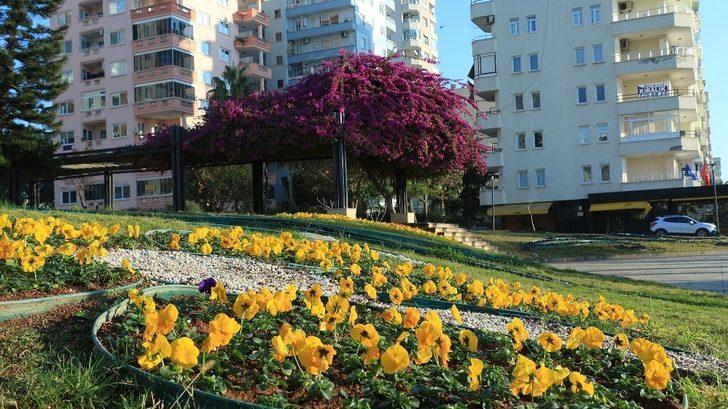 Mersin’de 430 bin çiçek toprakla buluştu G3