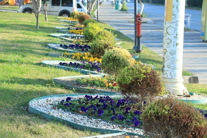 Mersin’de 430 bin çiçek toprakla buluştu G4