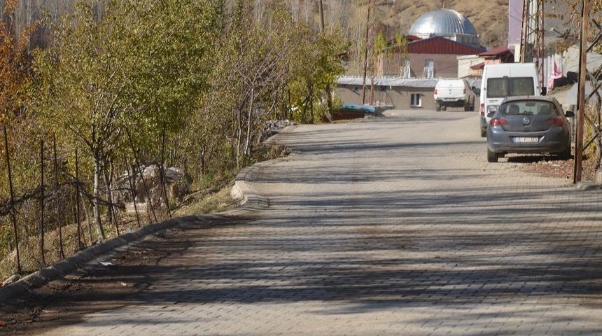 Beytüşşebap’ta vatandaşlar kısıtlamaya uyarak evlerine kapandı