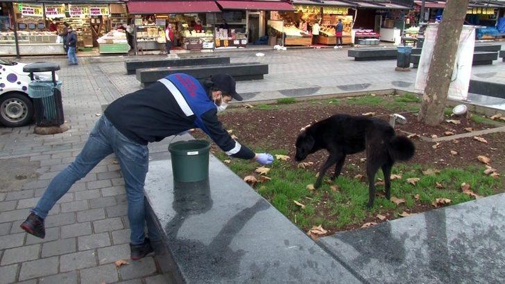 Fatih’te sokak hayvanları kısıtlamada unutulmadı G2
