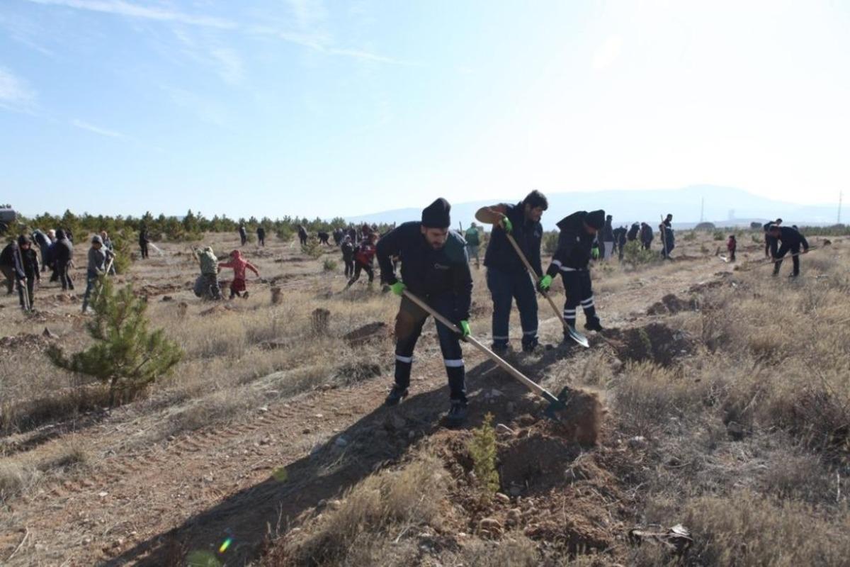 B&uuml;y&uuml;kşehir Ulaşım A.Ş.&rsquo;den Hatay&rsquo;a 700 fidan