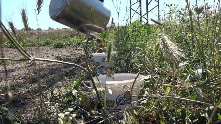 Büyükçekmece’de sokak hayvanları kısıtlamada unutulmadı G5