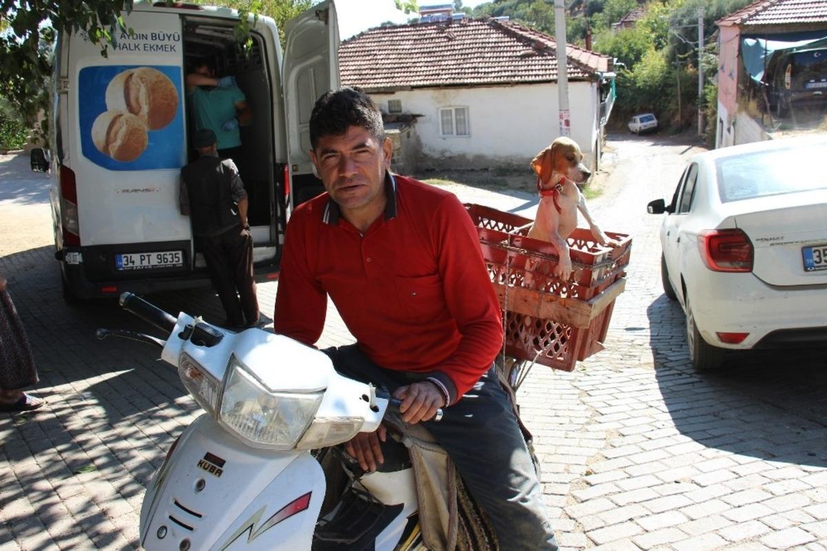 Antalya&rsquo;dan Aydın&rsquo;a uzanan &ccedil;ift kol nakilli yeni hayat