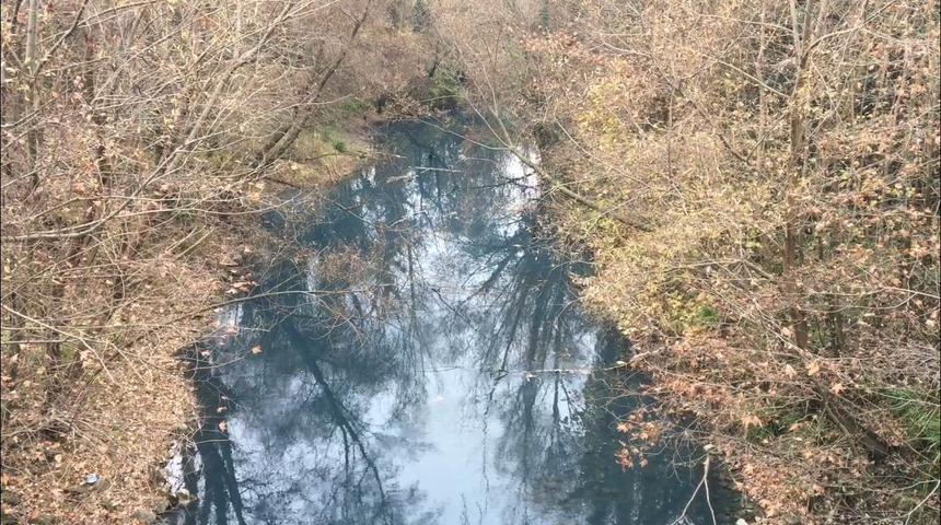 Bartın Irmağı'nda tedirgin eden görüntü! Rengi maviye döndü
