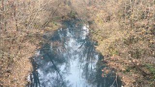 Bartın Irmağı'nda tedirgin eden görüntü! Rengi maviye döndü