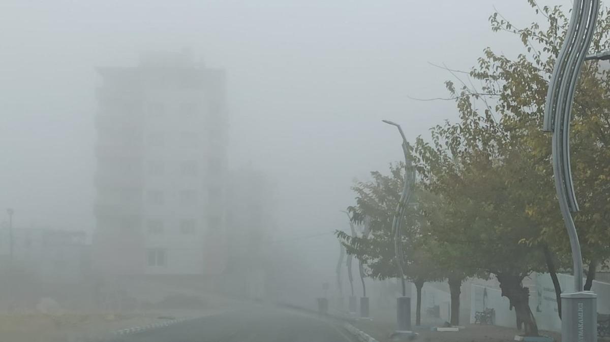 Gerc&uuml;ş&rsquo;te yoğun sis s&uuml;r&uuml;c&uuml;lere zor anlar yaşattı