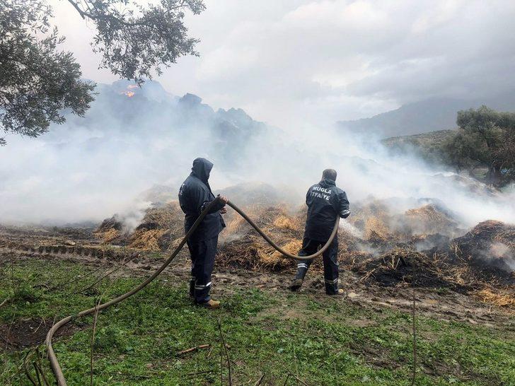 Arazide samanlar alev alev yandı G3