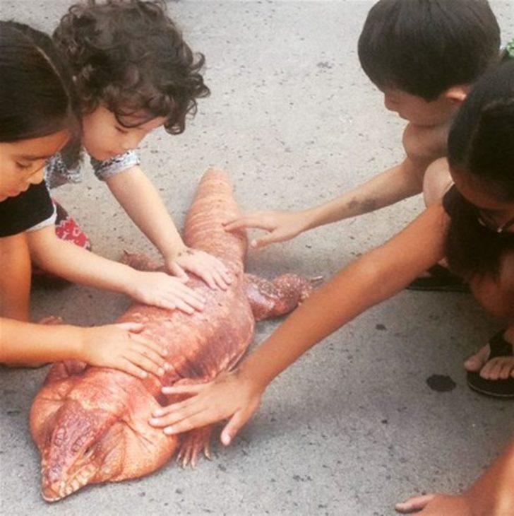 Photoshop sanan yanılıyor! Gördükleriniz karşısında şaşkına döneceksiniz G4