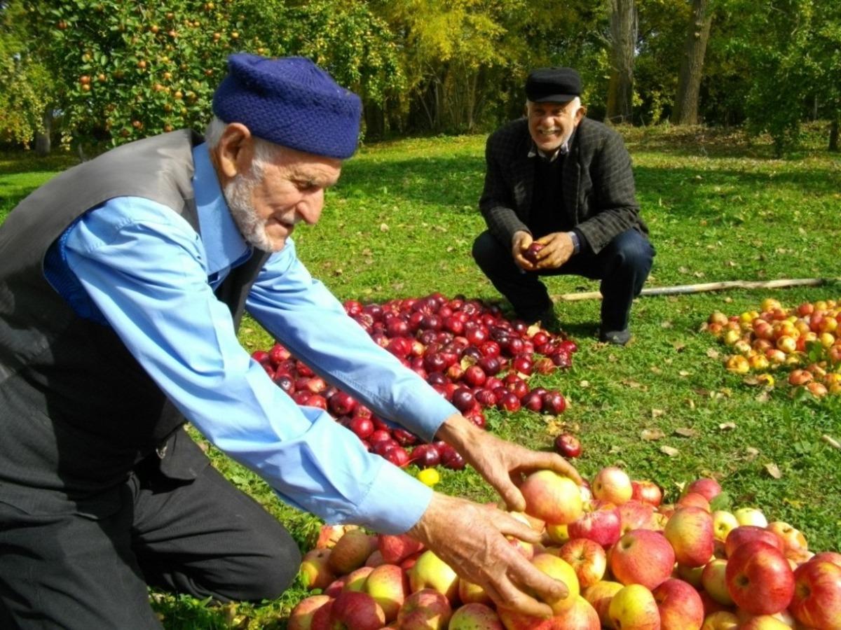 &lsquo;Posof&rsquo;lu Eller Y&ouml;resel &Uuml;r&uuml;nler Projesi&rsquo; tanıtıldı