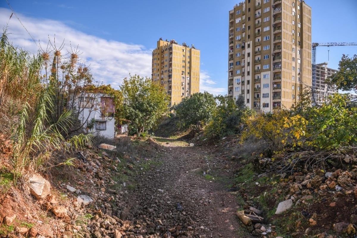 Ay Deresi yeşilleniyor