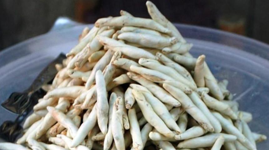 Sakız Deyip Geçmeyin: Doğu’nun Gözdesi Kenger Sakızı Faydalarıyla Şaşırtıyor 