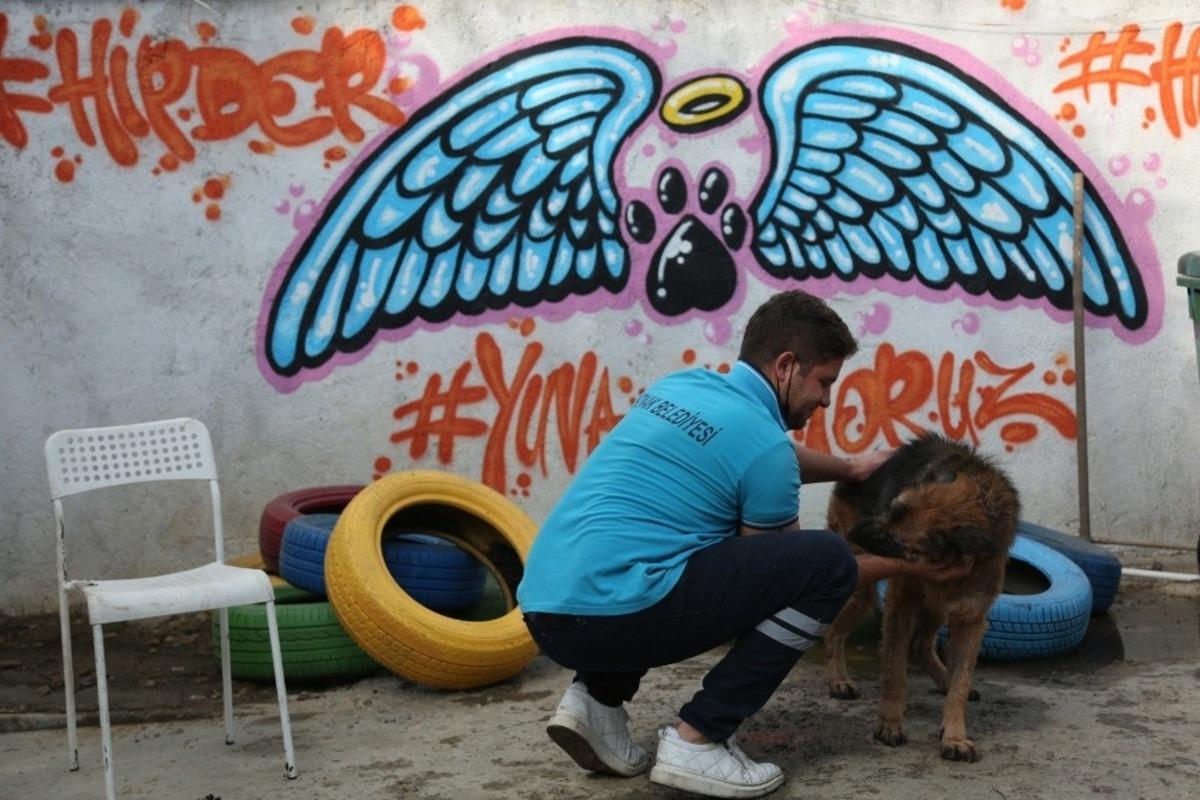 Konak&rsquo;ta can dostlar i&ccedil;in STK&rsquo;larla işbirliğine devam