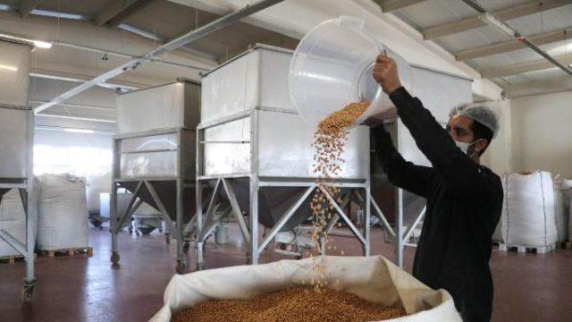 Yılbaşı öncesi kuru yemişte yüzde 400 talep patlaması