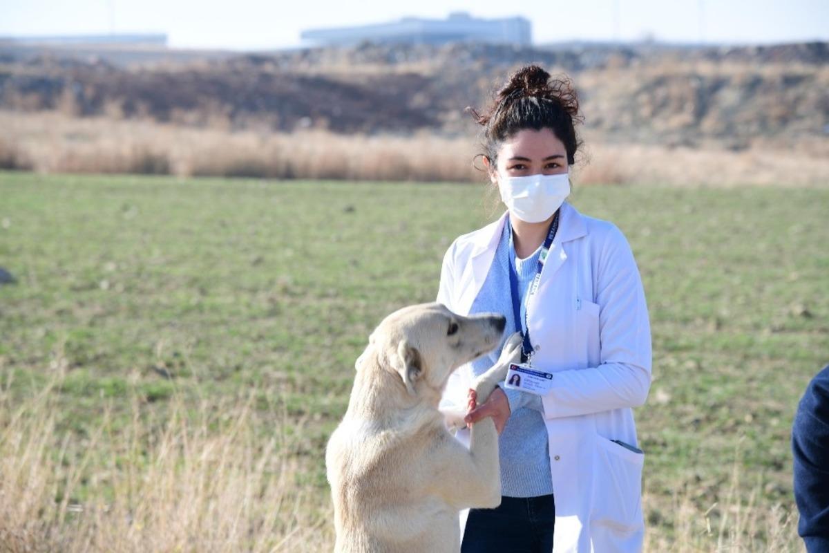 Mamak sokağa &ccedil;ıkma yasağında can dostları unutmadı