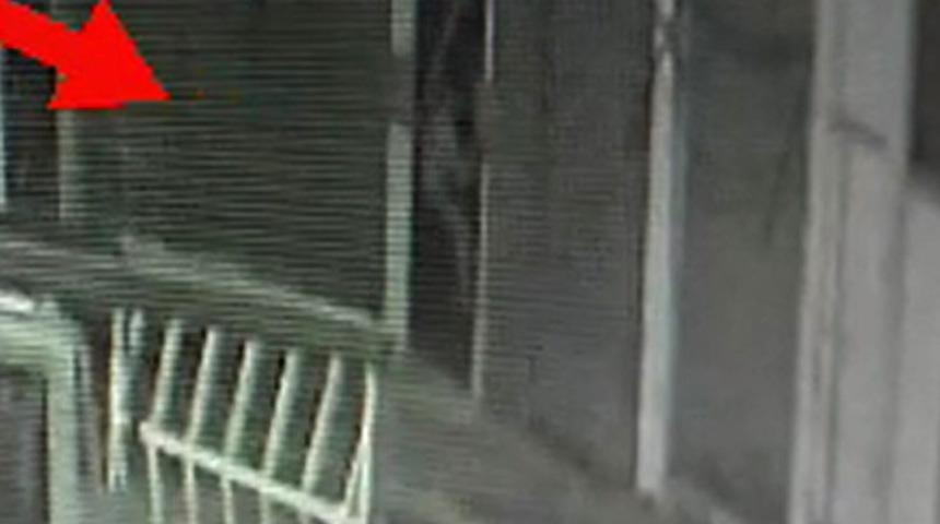 Örümcek adam gibi tırmandı ama yakalandı