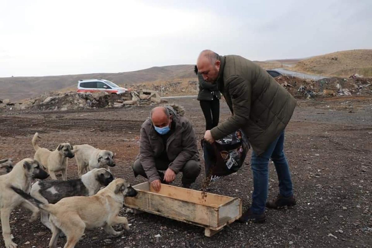 Yahşihan&rsquo;da sokak hayvanları unutulmadı