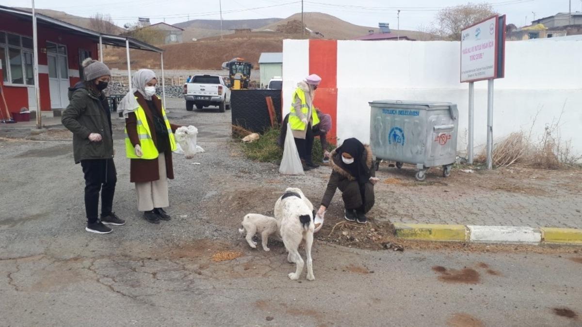 G&ouml;n&uuml;ll&uuml; &ouml;ğretmenler sokak hayvanlarına mama bıraktı