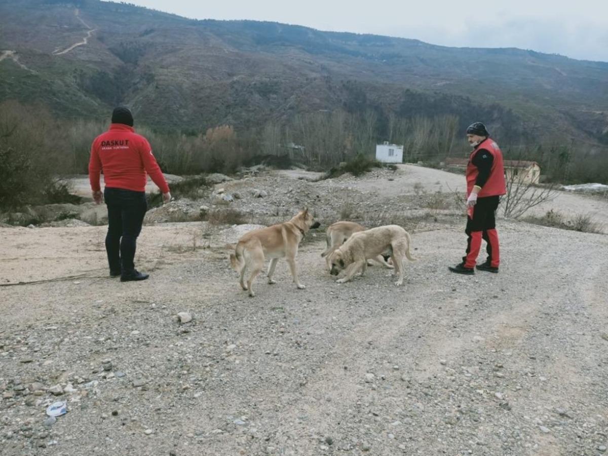 Kimsesiz hayvanları unutmadılar