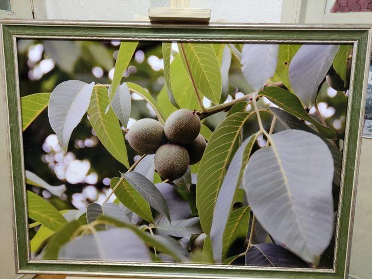 Fotoğraf mezadının geliri, öğrencilere harcandı G3