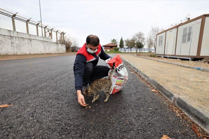 Başiskele’de sokağa çıkma yasağında sokak hayvanları unutulmadı G1