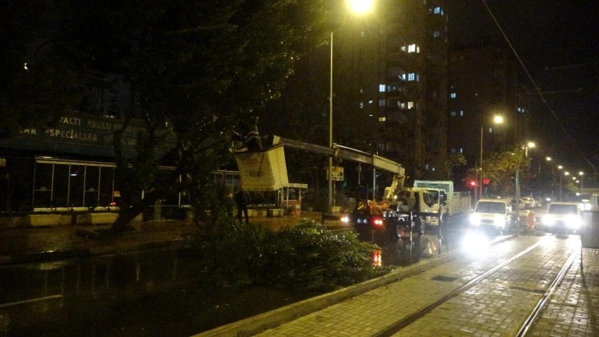 Şiddetli r&uuml;zgara dayanamayan ağa&ccedil; devrildi