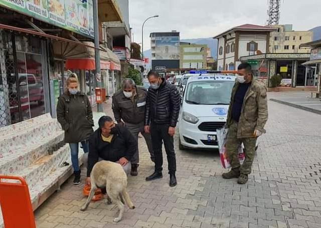 Sokağa çıkma kısıtlamasında sokak hayvanları unutulmadı