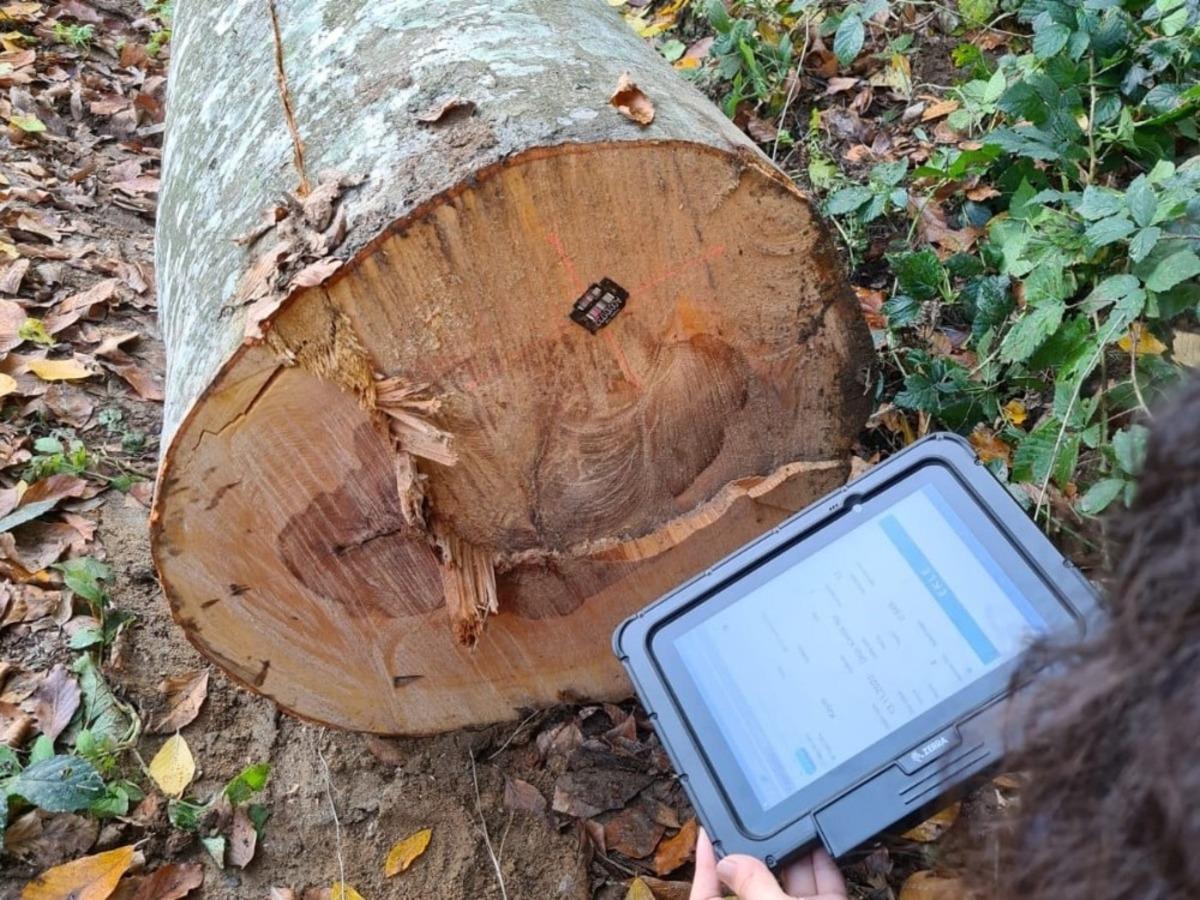 Ormanda &rsquo;barkod&rsquo; sistemi