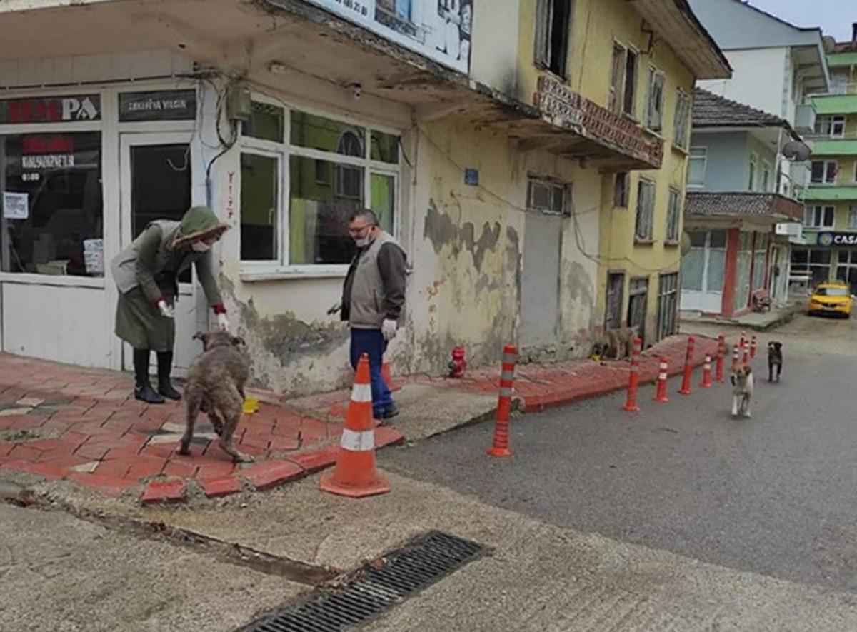 İnsanlar evlere kapanınca g&ouml;rev DKMP ekiplerine d&uuml;şt&uuml;