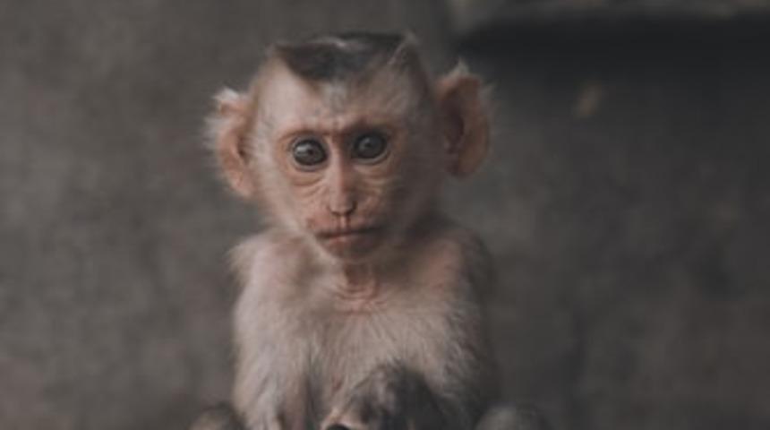 Tarihin tozlu sayfalarına gömülen olayları gün yüzüne çıkartıyoruz! 14 Aralık tarihte bugün neler oldu?