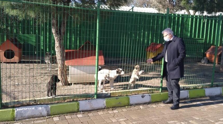 Başkan Deveciler yeni hayvan bakımevini denetledi