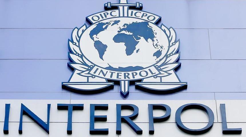 Interpol Nedir?