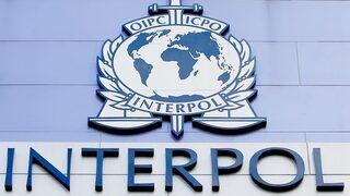 Interpol Nedir?