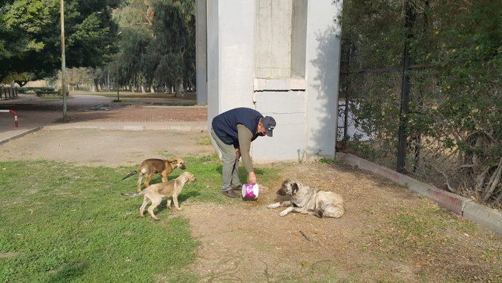 Tarsus Belediyesi, sokağa çıkma yasağında sokak hayvanlarını unutmadı G2